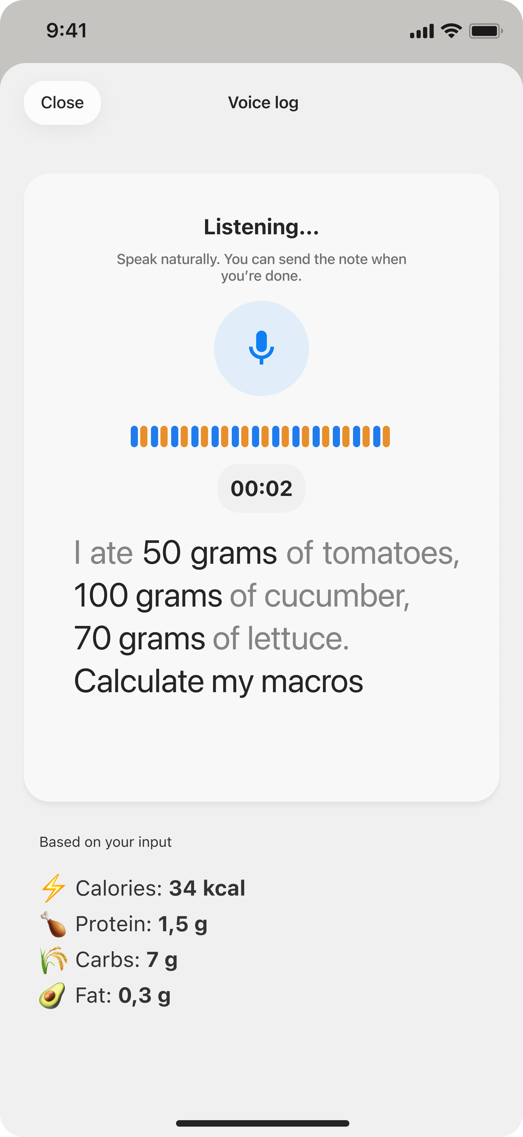MacroMan voice log screen